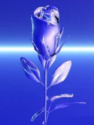 fleur